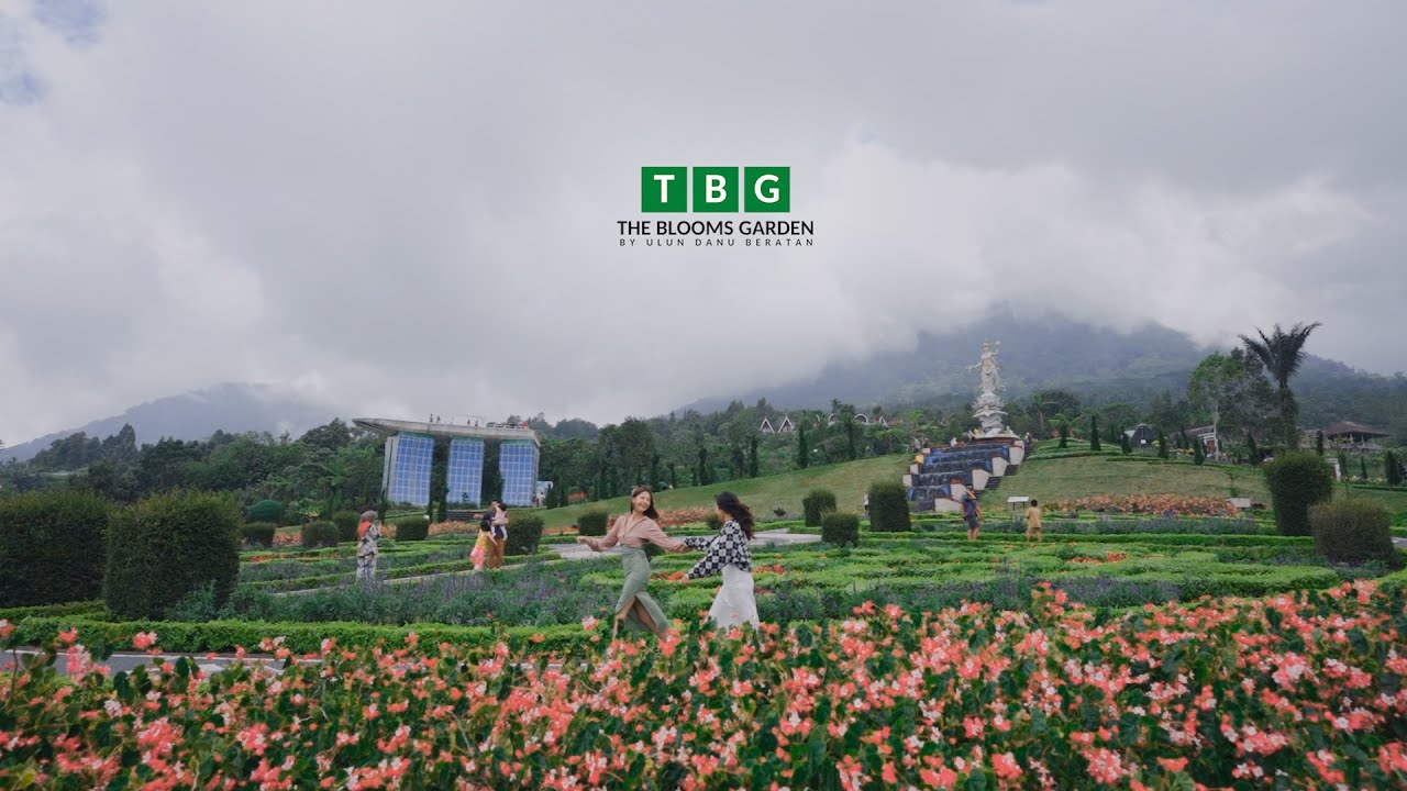 The Blooms Garden promotional video